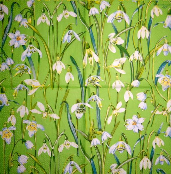 015 Daffodils,  Hyacinths,  Maiglöckchen, Crocus